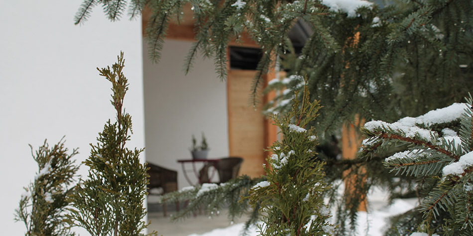 Hausbild 2